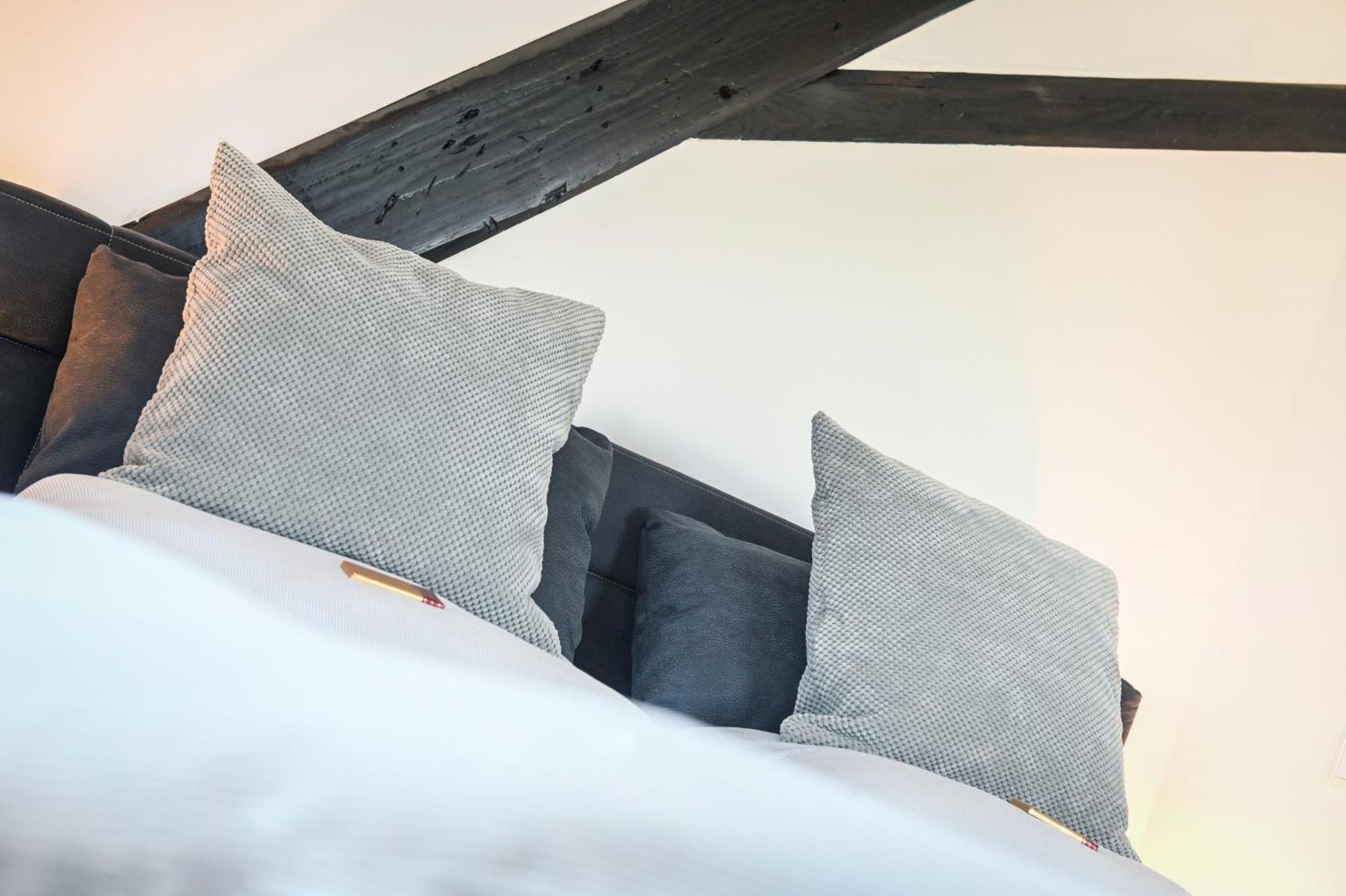 Seen-Apartment Im Herrenhaus Rheinblick Xanten Eksteriør bilde